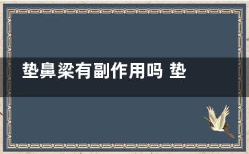 垫鼻梁有副作用吗 垫鼻梁会有副作用吗